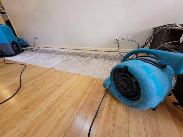 Professional Flood Damage Cleanup technician working in Jenison, MI